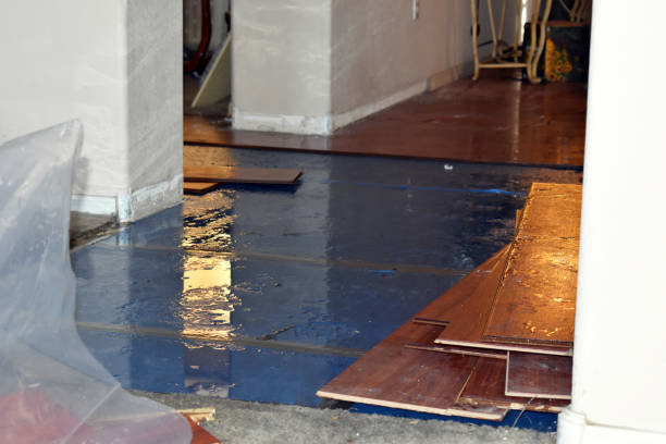 Professional Burst Pipe Cleanup technician working in Camden, NJ